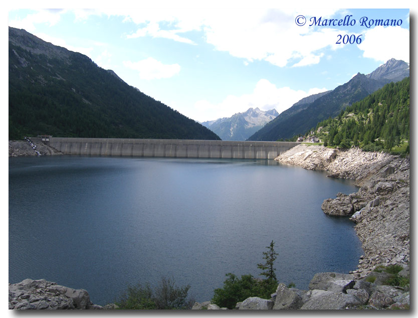 Insetti del Parco Adamello Brenta (TN): immagini e appunti